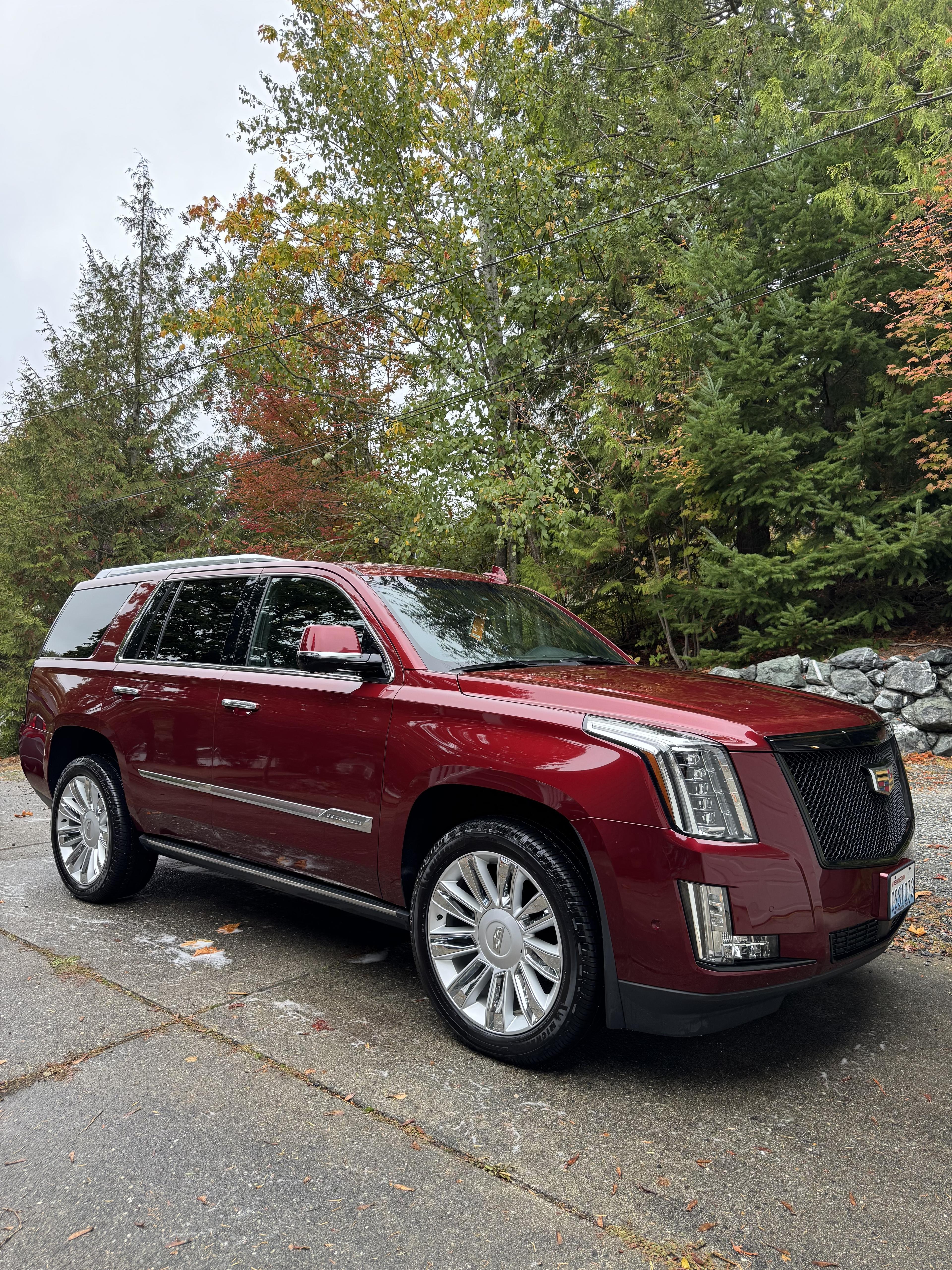 Professional mobile car detailing service in Bellingham WA - Victory Lap Mobile Detailing